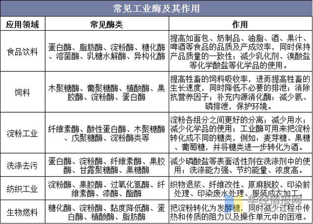 酶工程的展概况