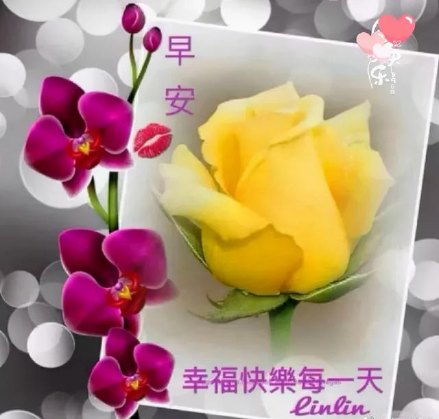 珍惜当下，恬淡随意地生活，便是浅浅的快乐，早安
