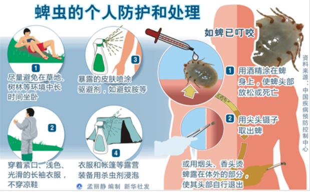 我国多地进入蜱虫活跃期，能吸血、传播病毒，它比红火蚁更可怕？9