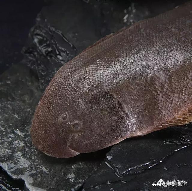 薄薄的一片是什么鱼,一层薄薄的读音是什么