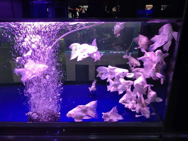 吸氧气的过滤机