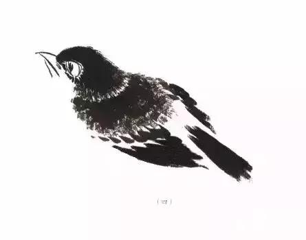 翎毛的意思怎么画翎毛