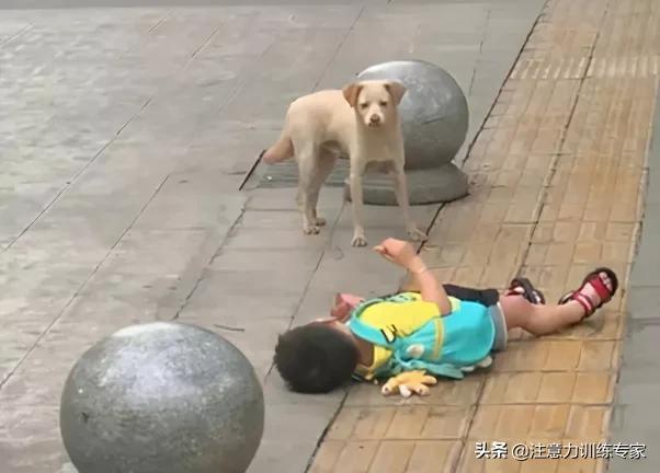 湖南一小女孩因爸爸不给看电视，竟扬言要“晒死”自己？