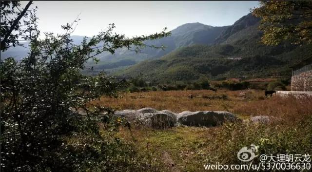 临沧轮式洗砂机报价