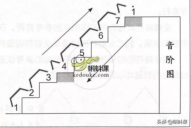 曲谱怎么看