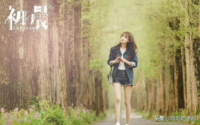 章子怡最新电视剧是什么（章子怡20年来第一部电视剧）(4)