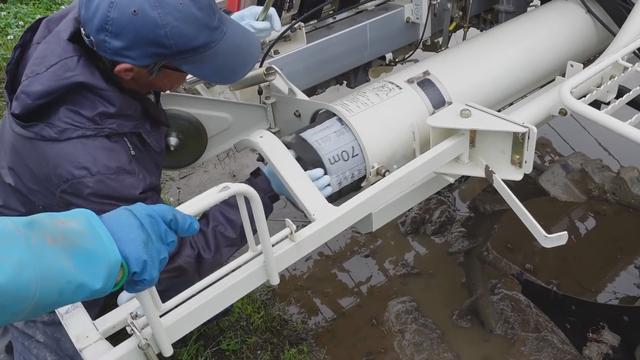 日本：用纸膜替代塑料薄膜的水稻种植技术，50天后分解成氮肥3