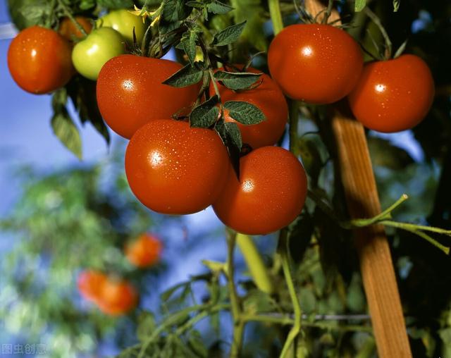 冬天“冻手冻脚”？吃这5种食物，让身体热起来