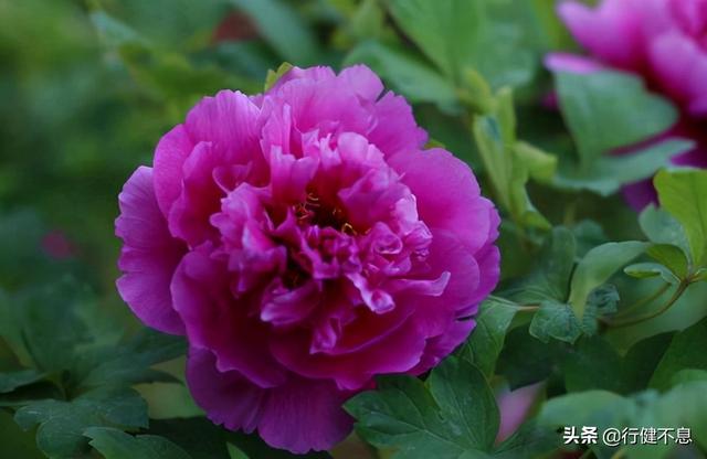 刘禹锡的诗全集（刘禹锡著名的十首诗）