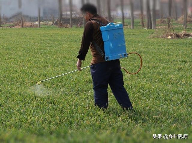 除草剂喷施后遇下雨天，需不需要重新补喷除草剂？该怎么区分2