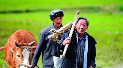 从最近“城管拎摔老人”事件，说说给农民建立退休制度这件事