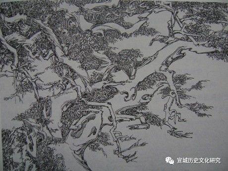 八面佛 八面佛（八面佛图片） 生活
