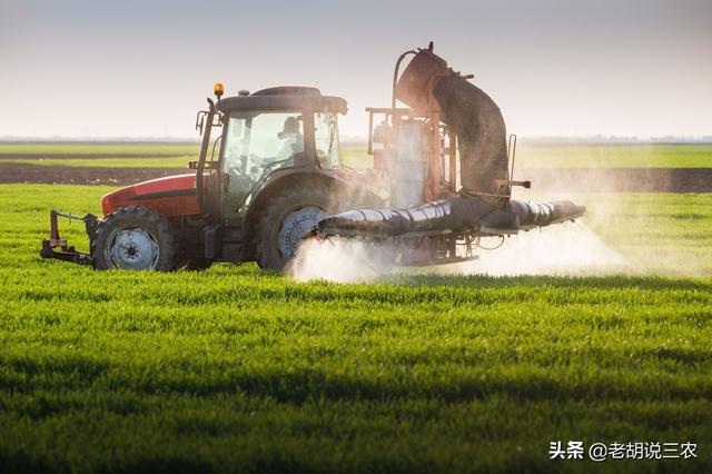 蚜虫等刺吸式害虫很难杀灭？5种农药混配法，绝杀害虫很高效