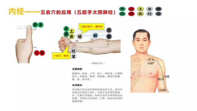 五输穴的位置及应用