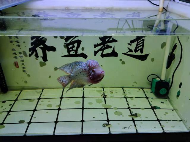 哪个品牌制砂机环保静音