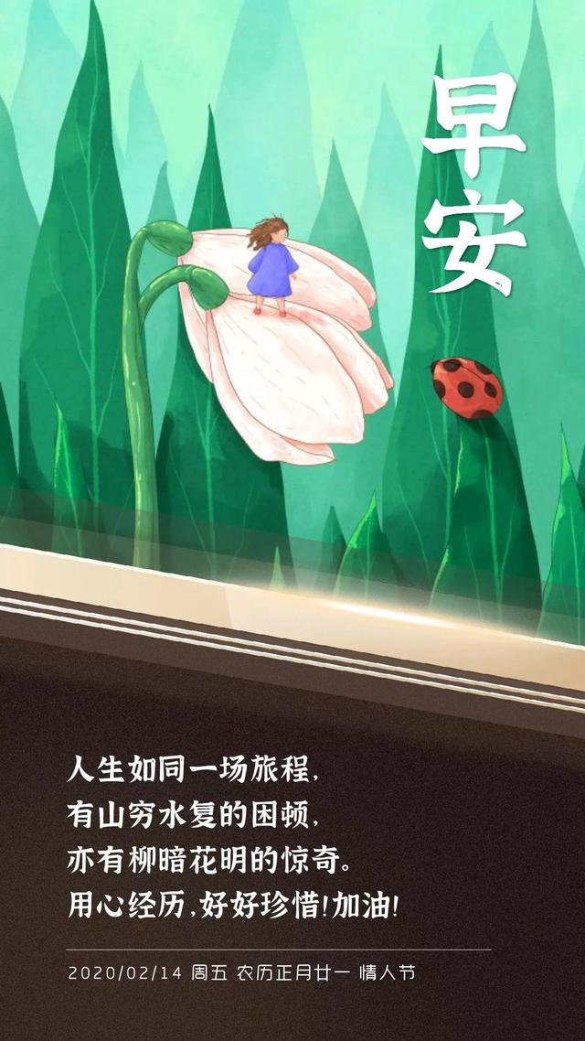 2月14情人节早安图片日签：用心经历，好好珍惜