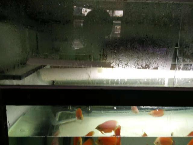 鱼缸过滤机怎么安装视频