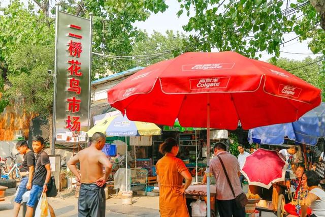 宠物狗专卖店