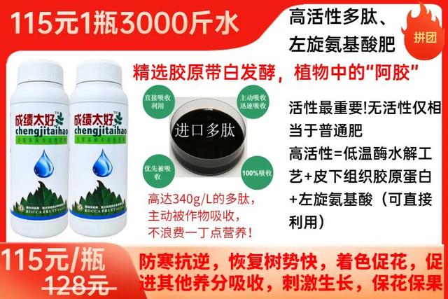 新≠好，控梢老药便宜好用！果皮细腻不影响膨大，还能混配杀虫剂16