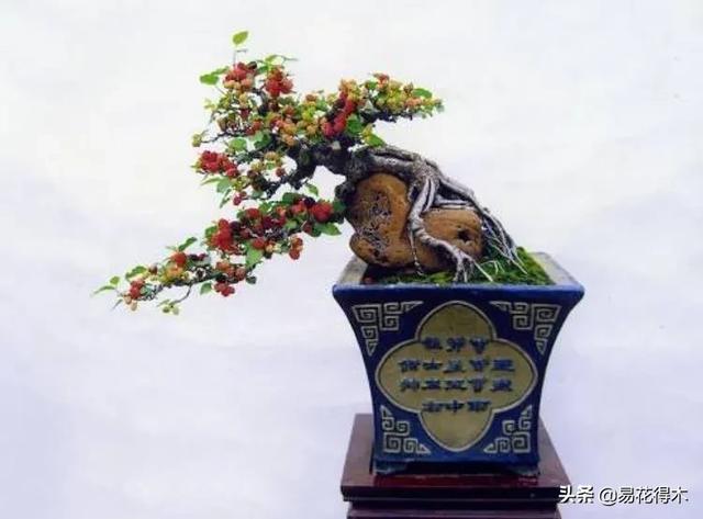 亳州干式洗砂机哪家好