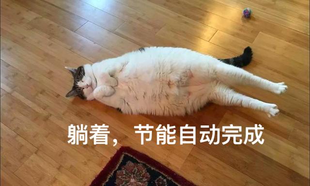 蓝色过滤机