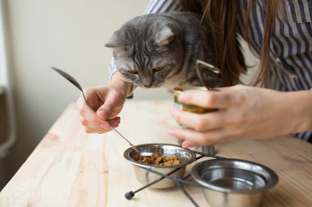 皇誉宠物食品