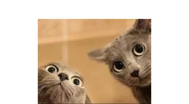 迪丽热巴这样的名字常见吗(迪丽热巴和平精英名字叫什么)