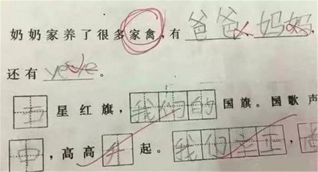 不仅还造句
