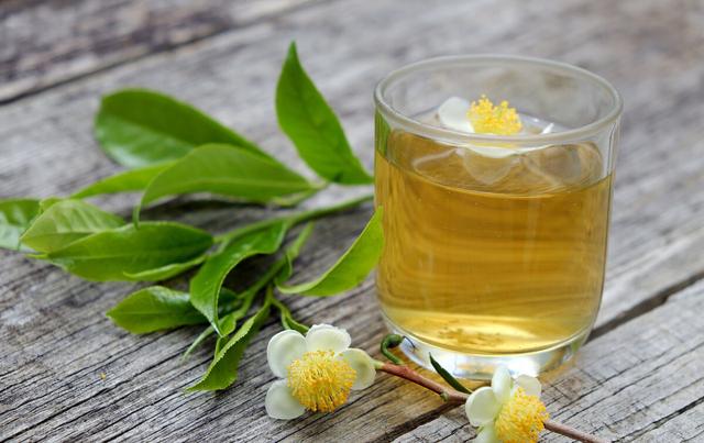 绿茶含有「伤肝」物质？不能喝？事实上，手里的茶杯不用放下