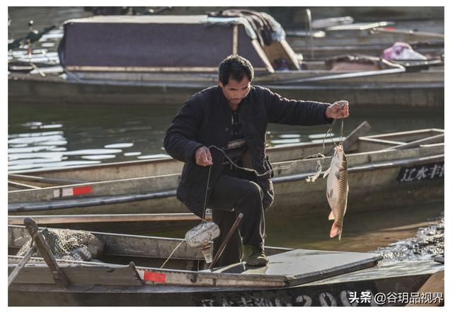 大海是渔民的什么