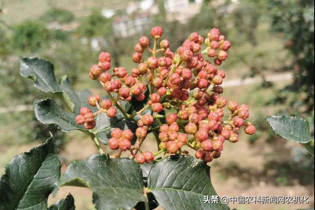 雅氏塑胶机械展