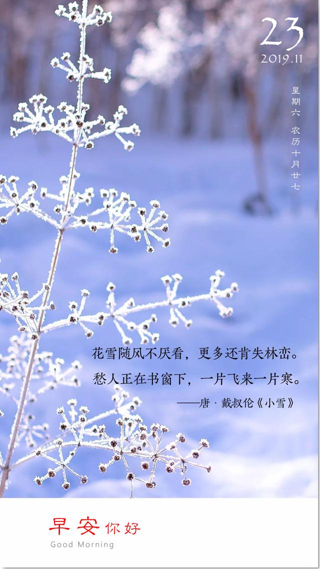 周六早安日签图片191123:爱与被爱,无悔少遗憾