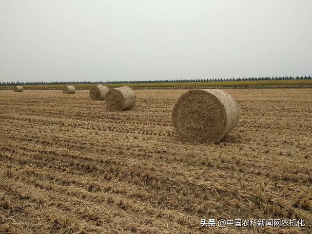 白银四排轮式洗砂机厂家