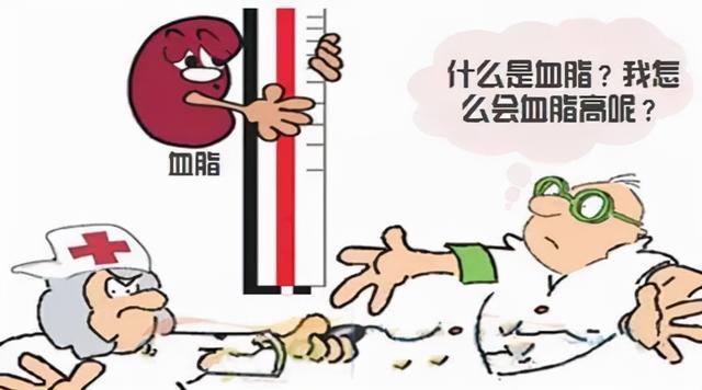 血脂高就不能吃蛋和肉？记好这四点，教你有效控血脂