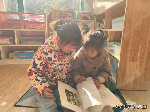 「班级风采」落叶知秋