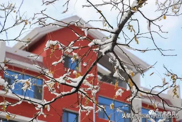 甘肃初雪 甘肃18所高校初学雪景大PK 快来看看有你的母校没