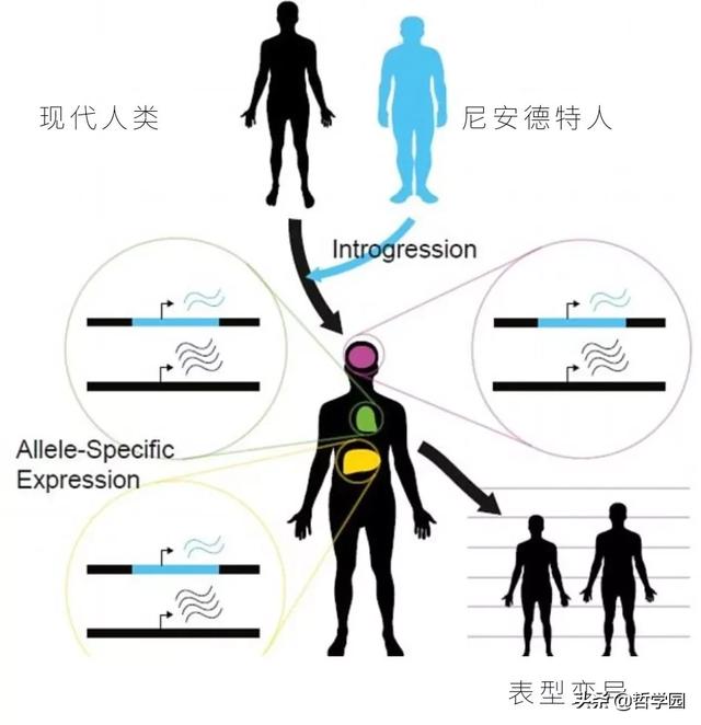 拉萨卧式过滤机