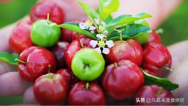 水果有哪些 水果有哪些（水果有哪些形状） 生活