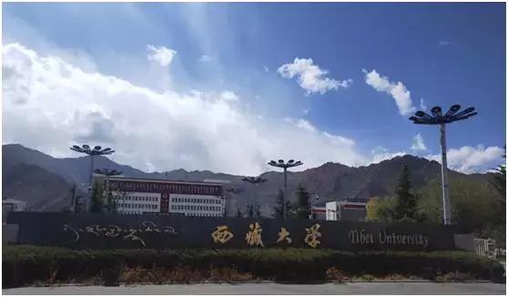平均海拔4500米的青藏高原，他会有高反吗