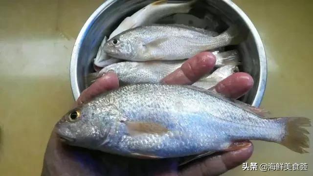 海鲜种类