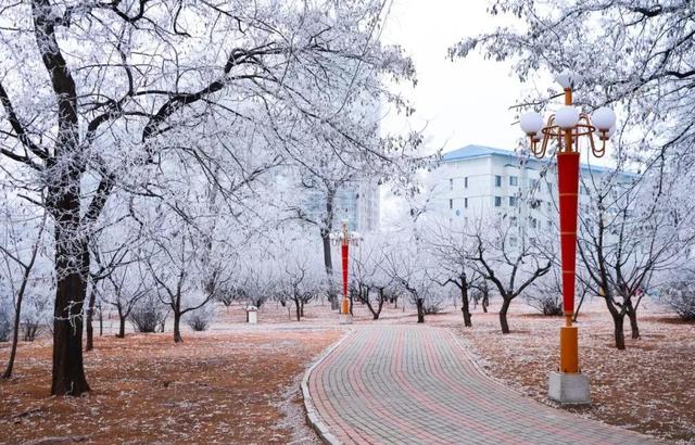 辽宁财贸学院