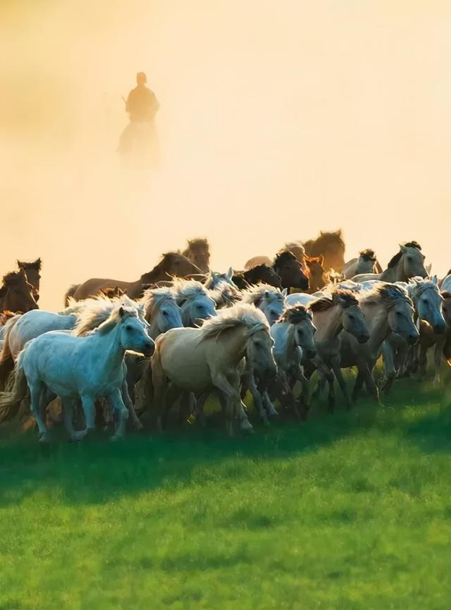 夏季旅游