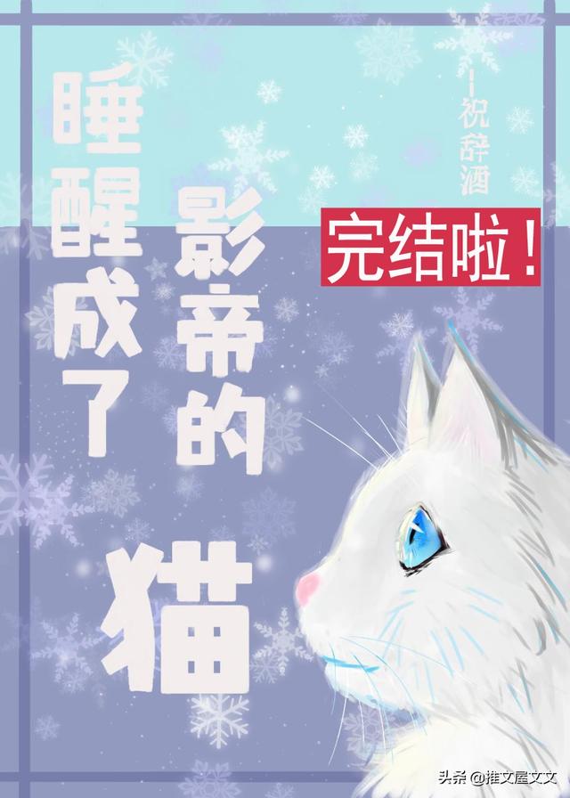 成了影帝的猫后我红了(成了影帝的猫后我红了免费阅读)