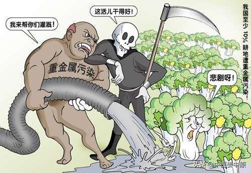 中医的浊毒学说讲的是什么？我们从中有哪些感悟