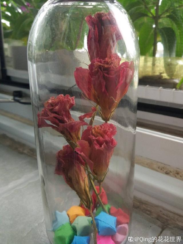 怎么做干花 怎么做干花（鲜花怎么做干花） 生活