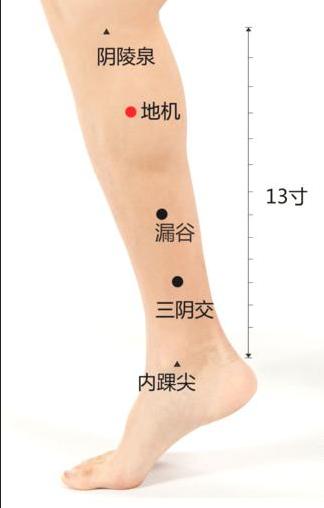 经常按揉三大穴位，恢复胰腺功能，有效降糖——糖友，勿错过