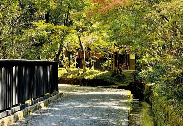 上过热搜、28岁财务自由的程序员郭宇，退休后这一年他更自由了吗