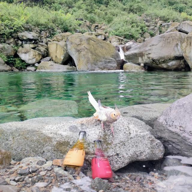 乐山石子洗砂机厂家