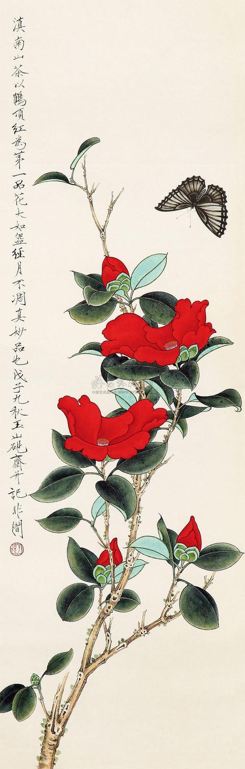 山茶花