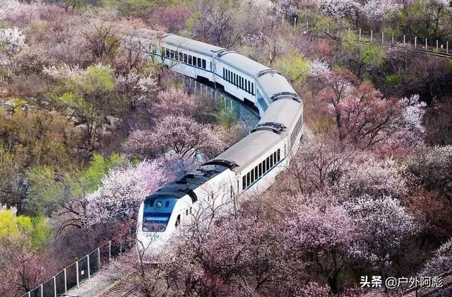 从北京城区怎么去八达岭，去八达岭长城旅游如何避免被坑？